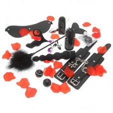 Amazing Pleasure Sex Toy Kit