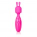 Tiny Teasers Rechargeable Bunny Vibrator