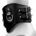 Heavy Duty Black Leather Padded Posture Collar