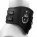 Heavy Duty Black Leather Padded Posture Collar