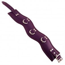 Rouge Garments Purple Padded Posture Collar