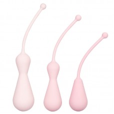 Inspire Weighted Silicone Kegel Training Kit