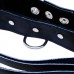 SportSheets Leather Leash And Collar